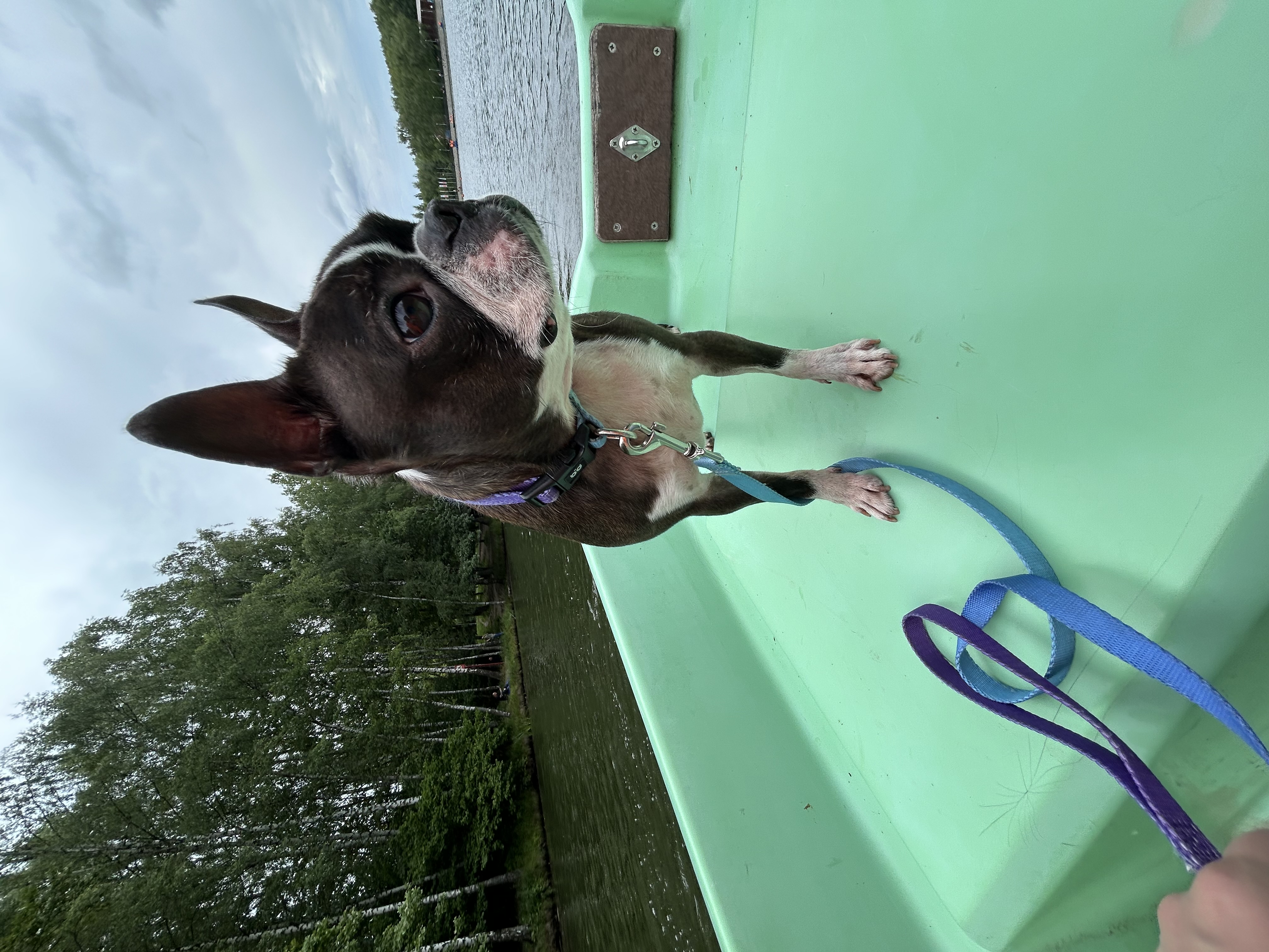 Тестирование