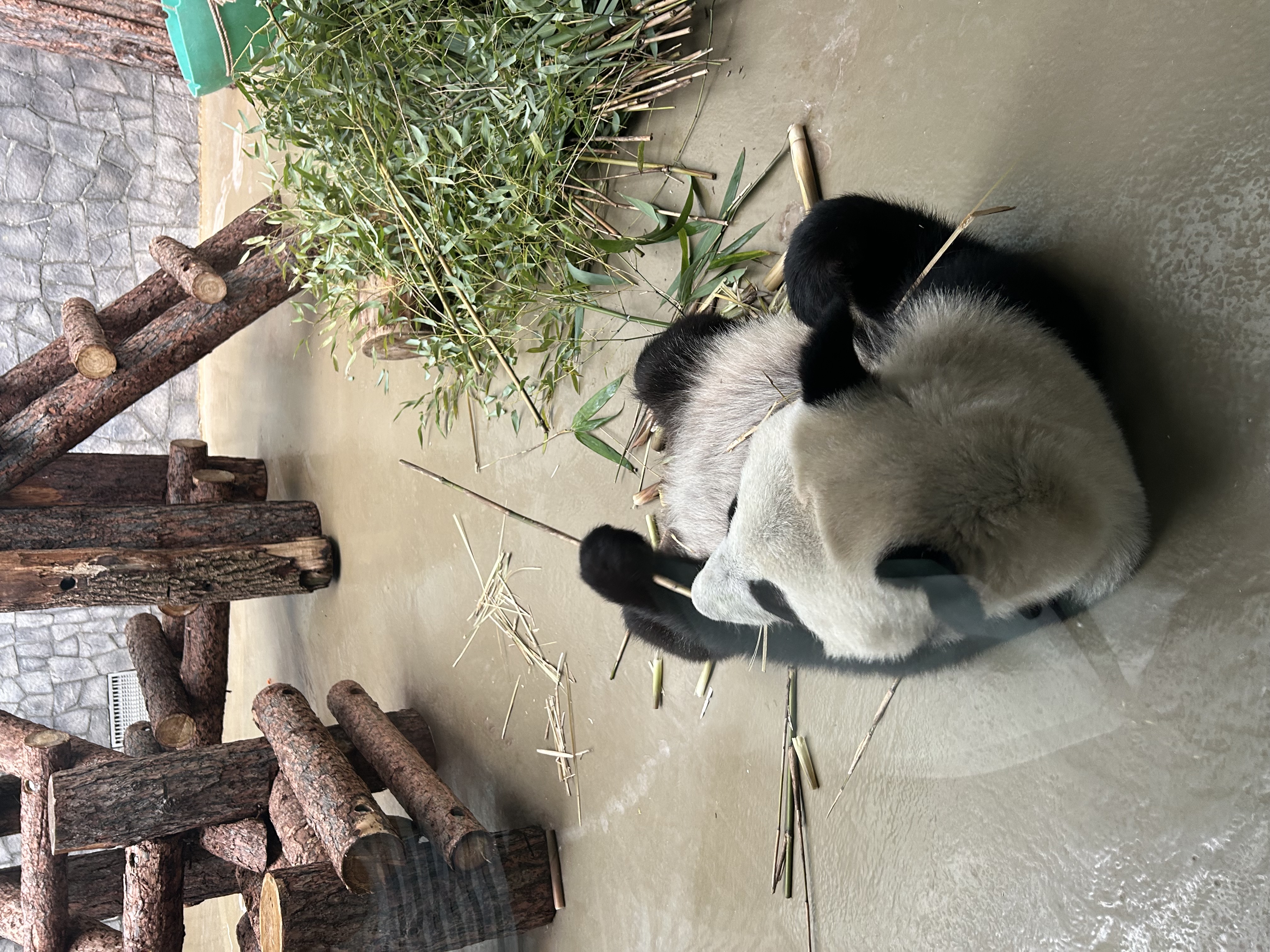 Тестирование